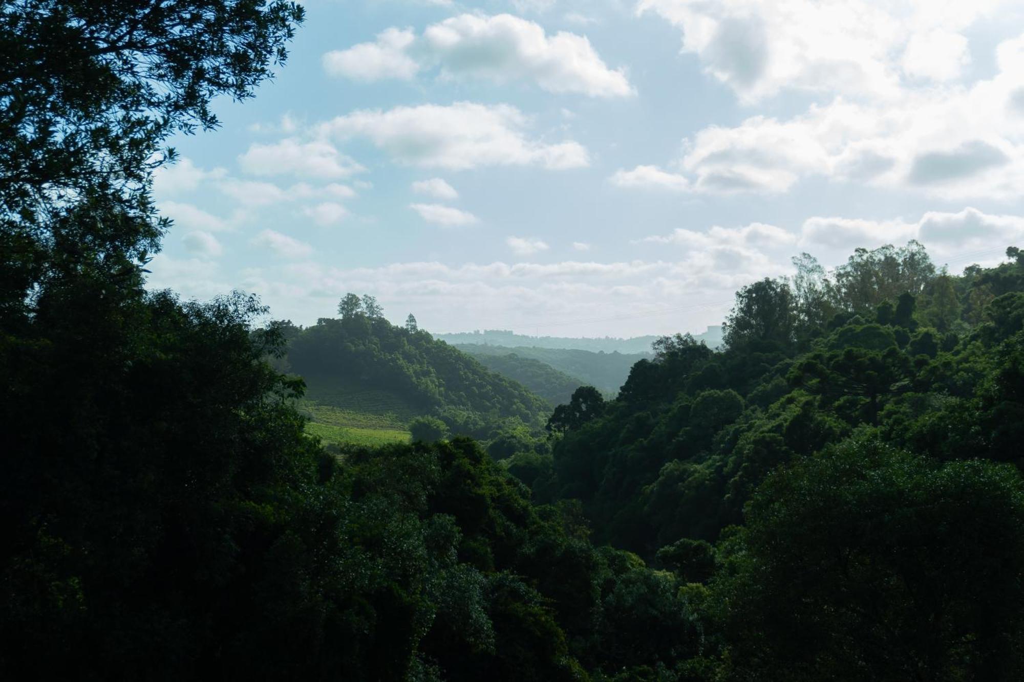 Chale Seiva Da Terra Villa Pinto Bandeira Bagian luar foto